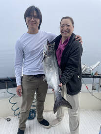 King Salmon are starting to show up in D
