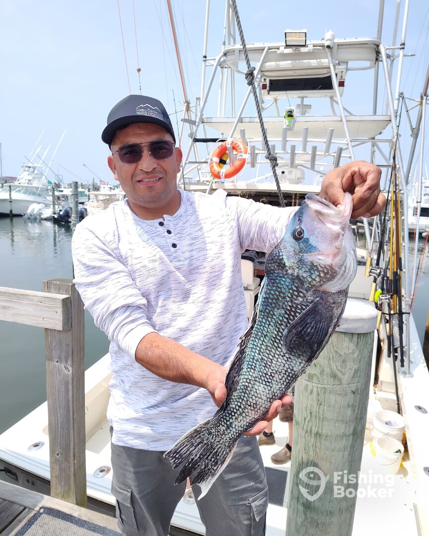 Montauk Report Photo 0