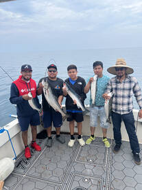 Great views and times 