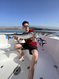 Arona Report Photo 1