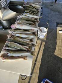 Lakeside Marblehead Report Photo 1