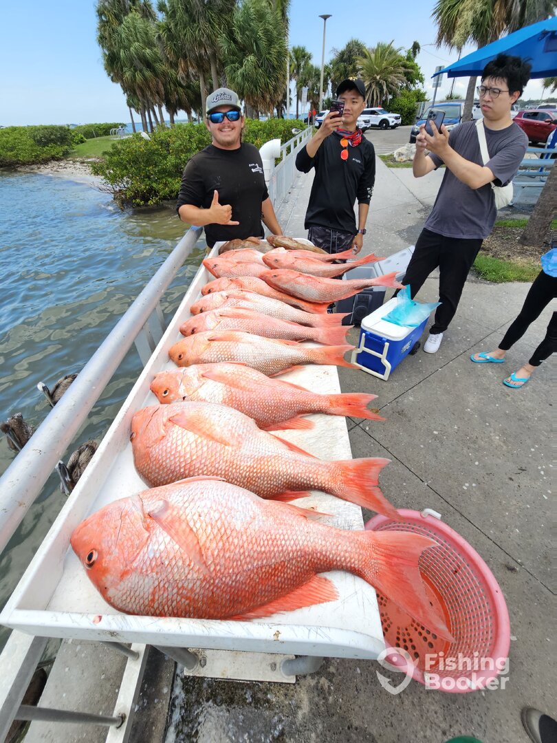 Clearwater Report Photo 0