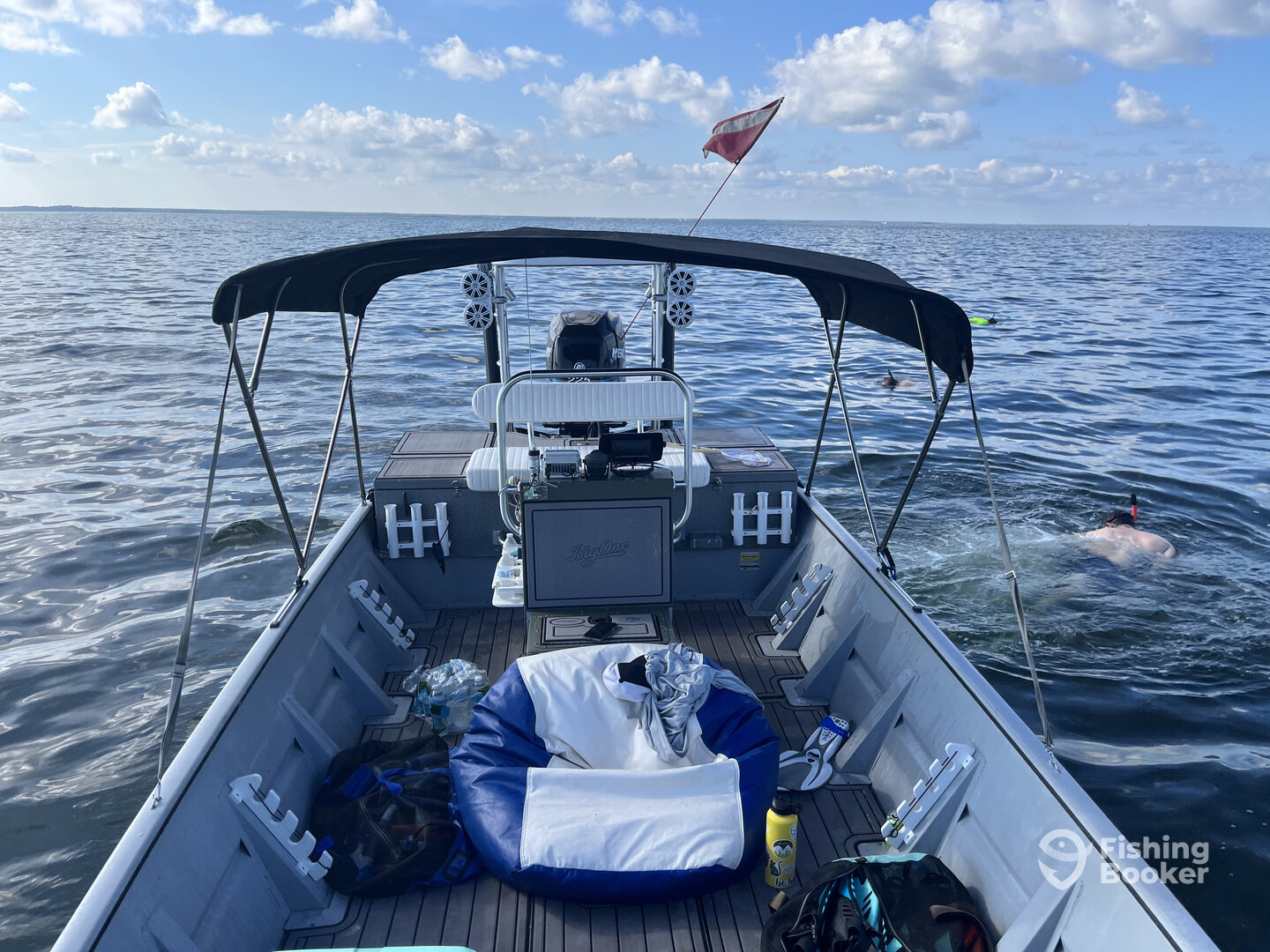 Homosassa Report Photo 0