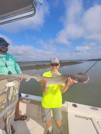 Palm Coast Report Photo 1