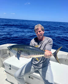 yellow fin tuna