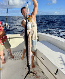 Rarest marlin in the world- short billed