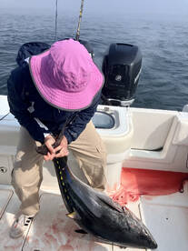 Chatham Report Photo 1