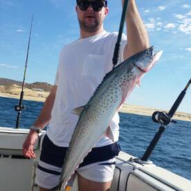 Cabo San Lucas Report Photo 1