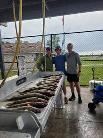 Fairview Report Photo 2