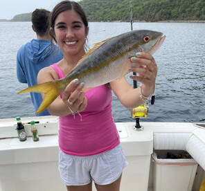 Fajardo Report Photo 1