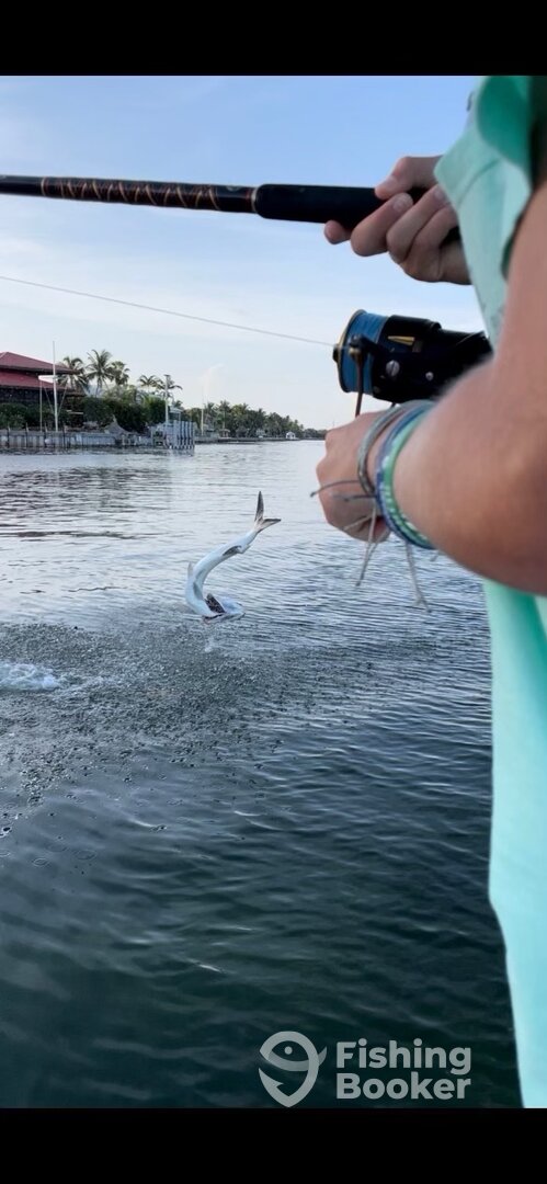 Islamorada Report Photo 0