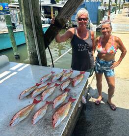 Bottomg fishing has been on fire!