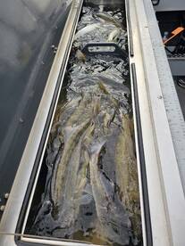 Lakeside Marblehead Report Photo 2