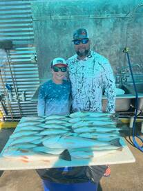 Destin bay fishing report