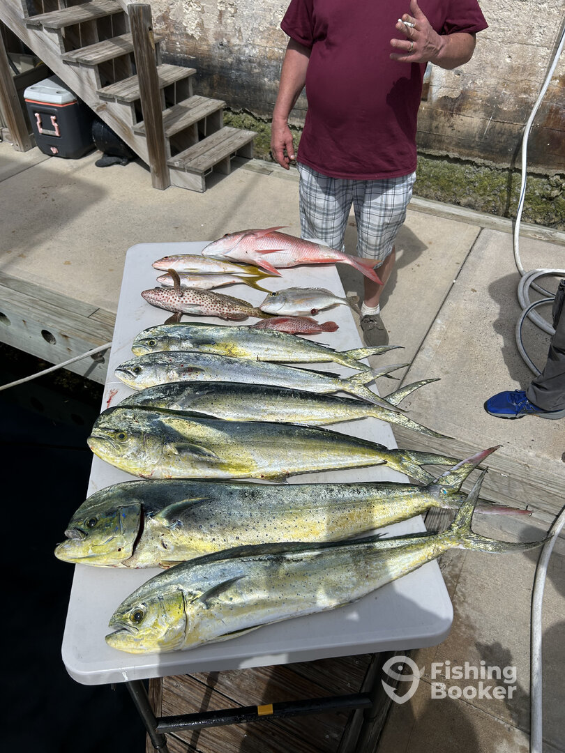 Stock Island Report Photo 0