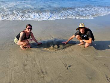 Stone Harbor Report Photo 1