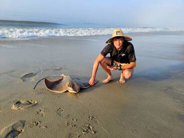 Stone Harbor Report Photo 2