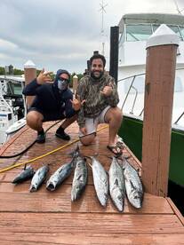 Dania Beach Report Photo 1