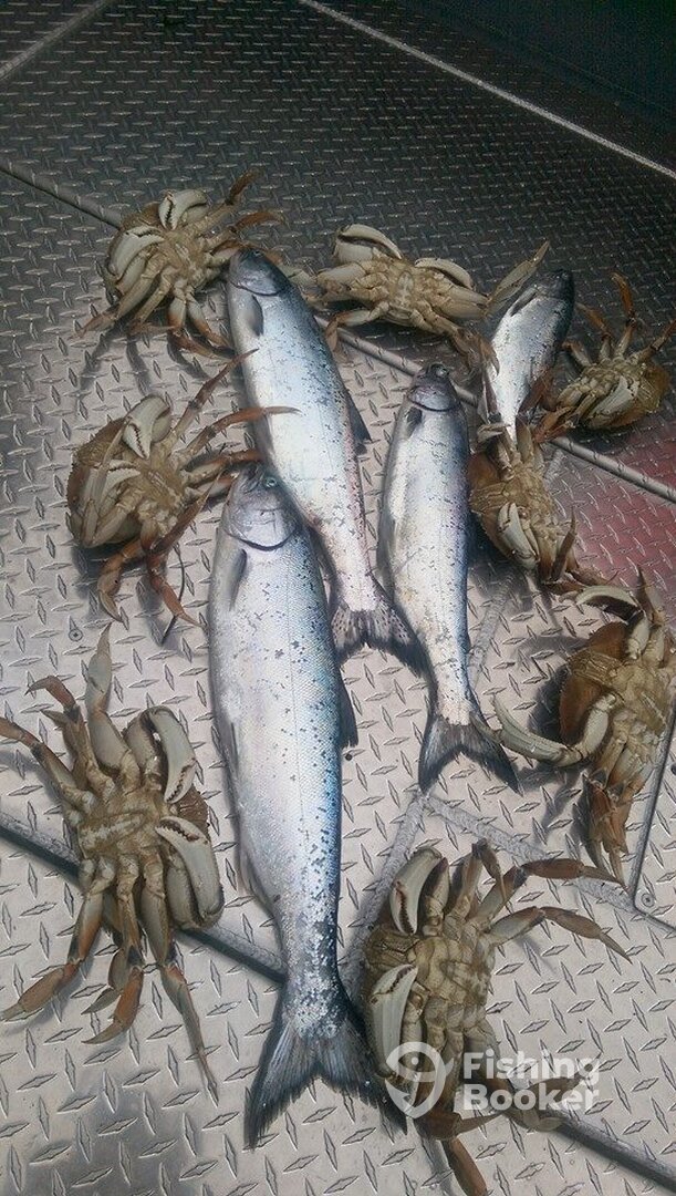 Sooke Report Photo 0