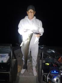 Willow beach Arizona trophy striped bass