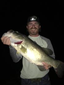 Quitman Report Photo 2