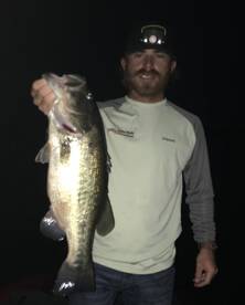 Quitman Report Photo 1