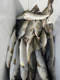 Nags Head Report Photo 1