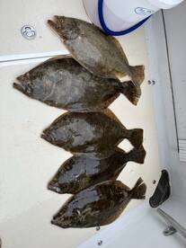 JULY Fishing Report !!!