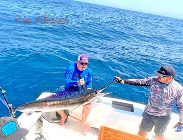 Cabo San Lucas Report Photo 1