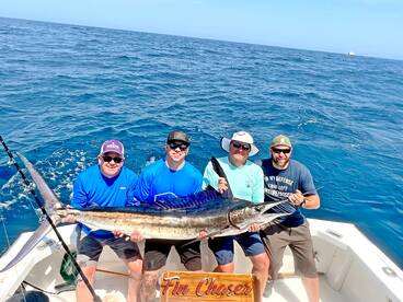 Cabo San Lucas Report Photo 2