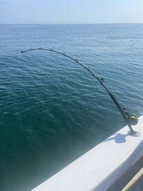 Bishopville Report Photo 4