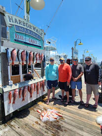 6 Hour Red Snapper Fishing Trip