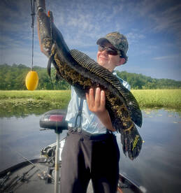 Snakehead report 