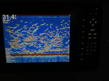 Marathon Report Photo 1