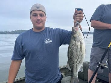 The summer bite has been good.