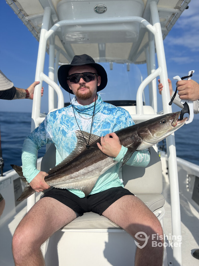 Mount Pleasant Report Photo 0