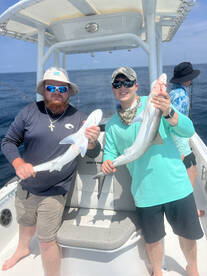 Mount Pleasant Report Photo 2