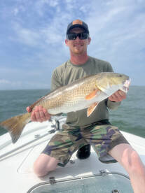 Summer Bull Reds