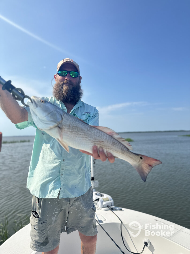 Savannah Report Photo 0