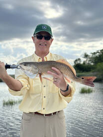 Savannah Report Photo 2