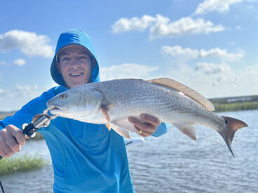 Savannah Report Photo 1