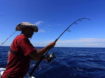 Quepos Report Photo 2