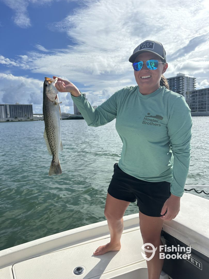 Clearwater Report Photo 0