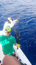 Quepos Report Photo 2