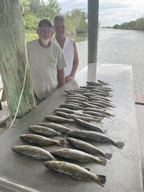 Trout, trout and more trout 