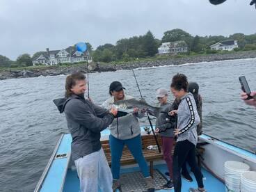 Kittery Report Photo 2