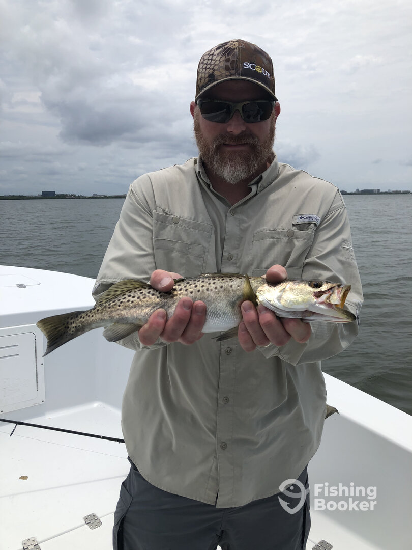 Tampa Report Photo 0