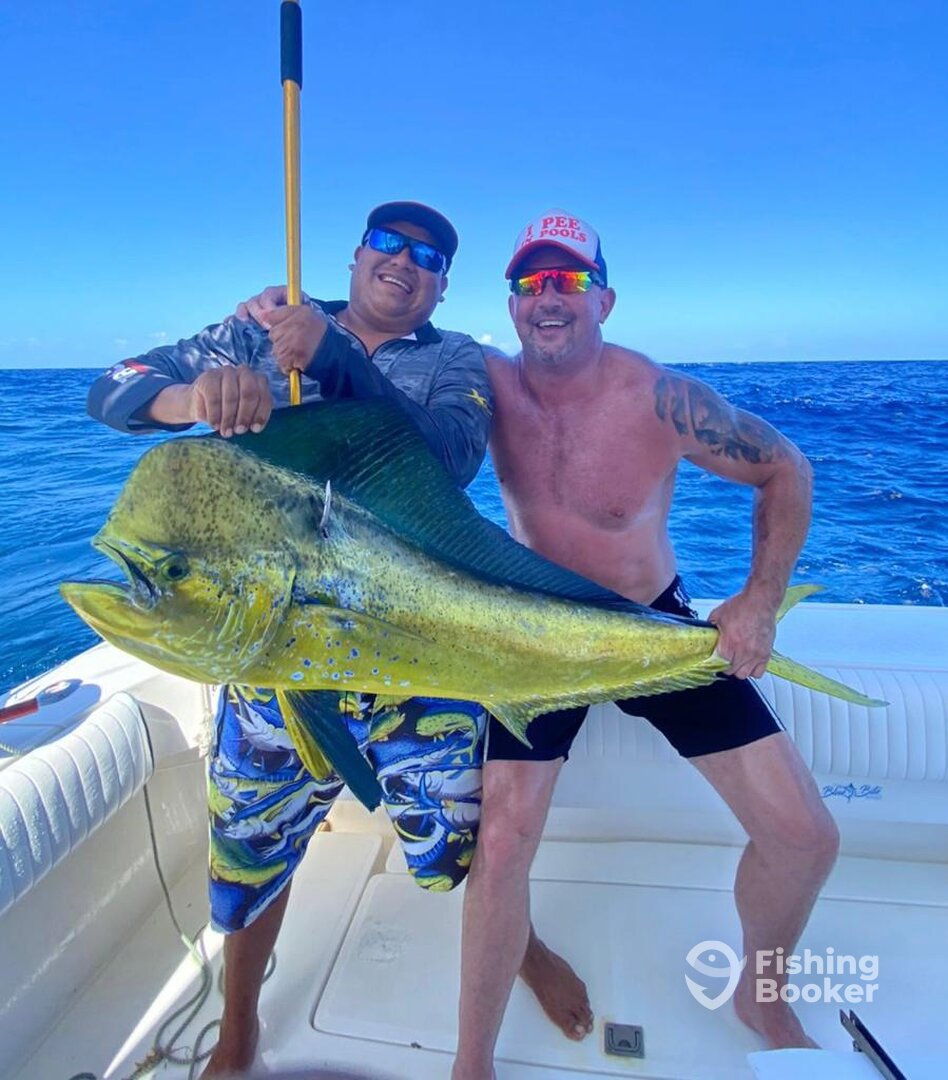 Puerto Aventuras Report Photo 0