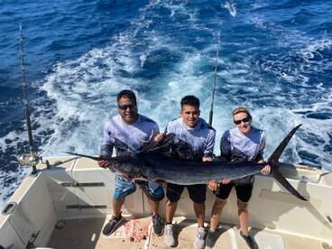 Stripe marlin & mahi mahi