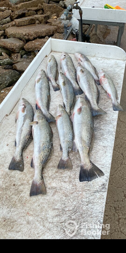 Galveston Report Photo 0